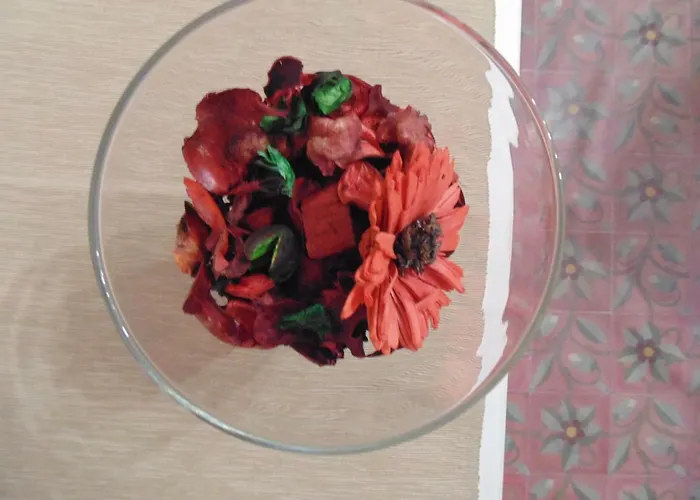 Casa Polena 卡塔尼亚